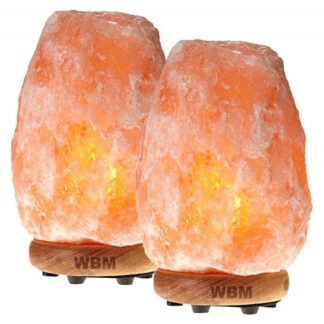 Barney Natural Pink Salt Lamp with Neem Wooden Base,6-8lbs (Set of 2)